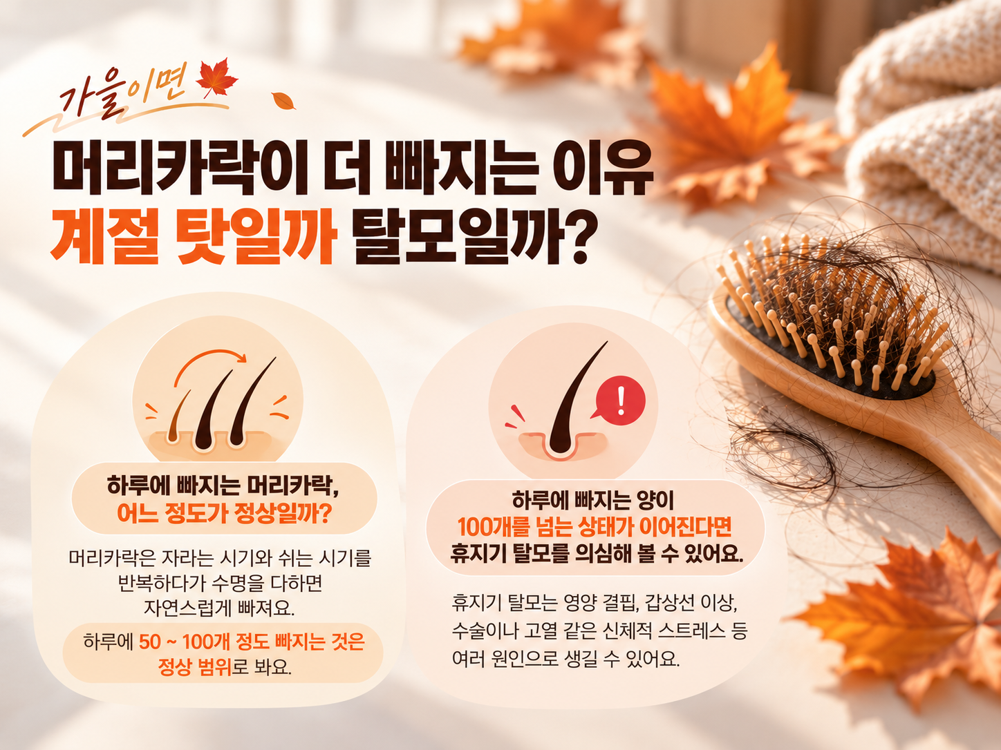가을이면 머리카락이 더 빠지는 이유, 계절 탓일까 탈모일까